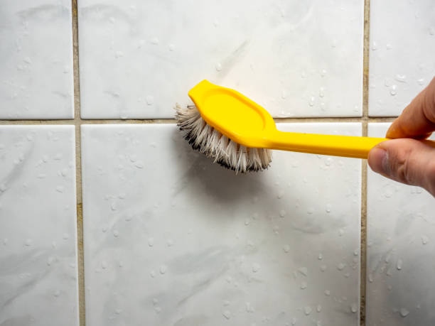 Best Emergency Mold Remediation in Madison, WI
